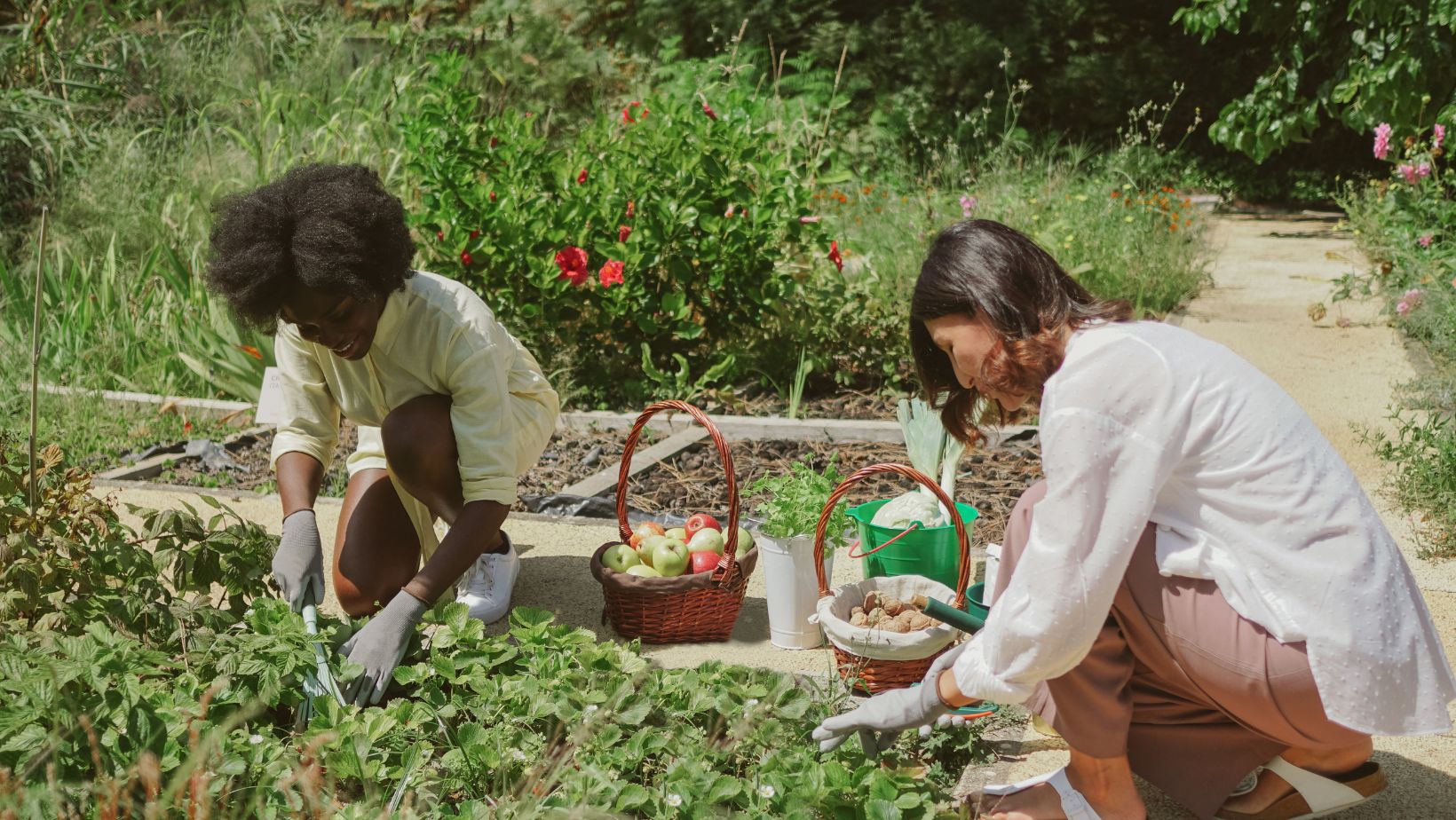 Read more about the article Embrace the Rustic Lifestyle: A Journey to Simplicity, Nature, and Community Connection